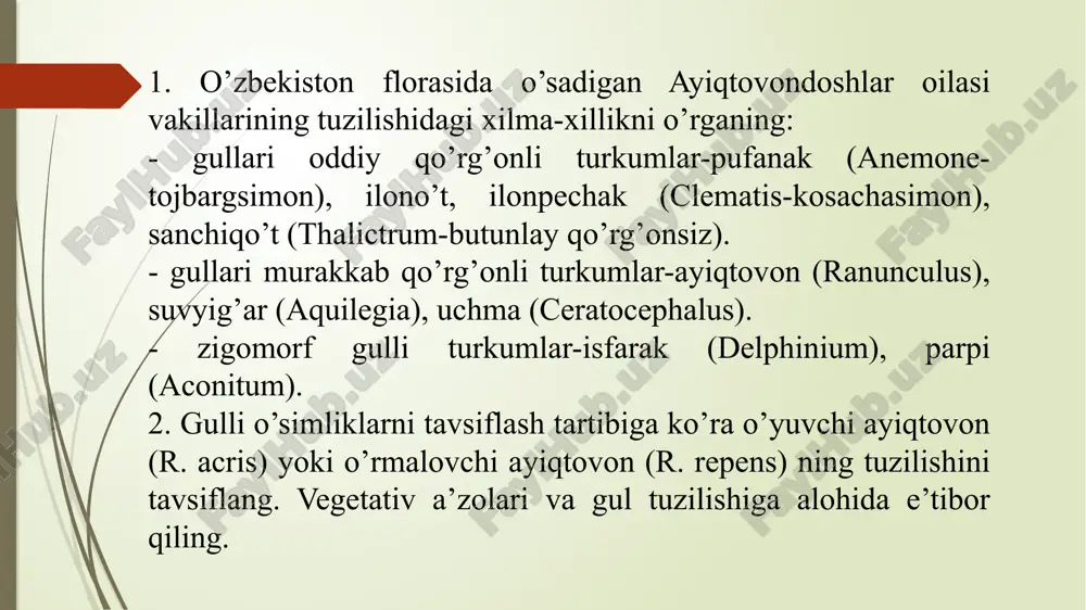 o’yuvchi ayiqtovonning (ranunculus acris) tuzilishi va ko’payishi - Page 4