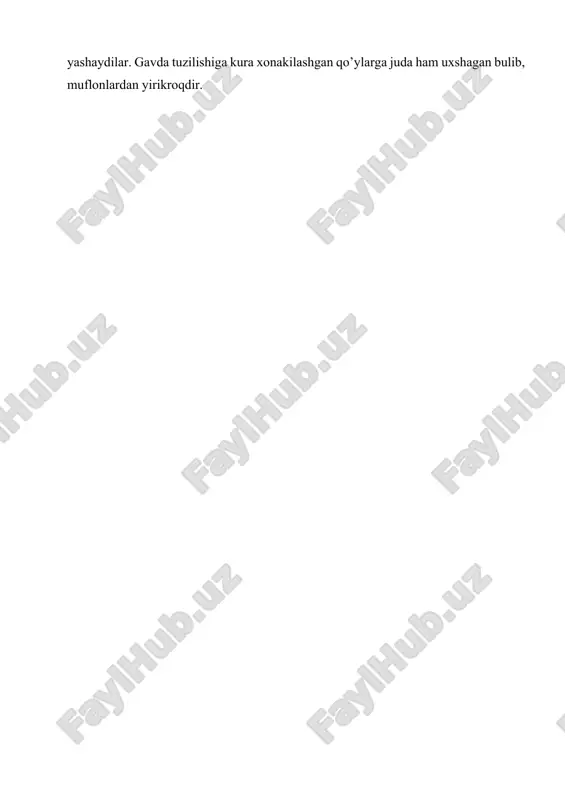 logik uzgarishlarga qo’ydagilarni kiritish mumkun. 1.hayvonlar urchitilishida mavsumiylikni buzilishi. 2.hayvonlarda ko’p bolalikni kuchaytirilishi. 3. hayvonlarda tez pishuvchanligini oshirish (jinsiy yetilishi usishi va rivojlanishi). 4.maxsuldorlikni oshishi. anna shu yuqoridagi fizalogik uzgarishlar hayvonlarning tana tuzilishini ham uzgarishiga olib keladi. bu uzgarishlarning asosiylari qo’ydagilardir: 1.tana tuzilishining uzgarishi 2. tana ulchamlari va gavda og’irligining oshishi. 3. rangining uzgarishi. 4.jun qoplamining uzgarishi. 5.terining uzgarishi. 6.sut bezlarining uzgarishi. uy hayvonlarining bosh suyaklari, skeliti, shoxlari va ichki organlari ulchamlariga kura sezilarli uzgarishlarga uchraydi. uy sharoitda hayvonlar nerv sestimasining harakatchanlingi susayadi. ya’ni qator shartli va shartsiz reflikslar yo’qoladi. shu bilan bir vaqitdahayvonlarda yangi reflikslar ya’ni odamlar chaqirganiga kelish, ovqatlanish soatlariga kunikish, uzlarini odamlar sog’ishga qarshilik4 qilmaslik paydo buladi. odamlar qo’ylarda yuz bergan o’zgarishlarining ijodkoridir,chunki qulga urgatilgan va xonikilashtirilgan hayvonlarda uziga kerakli bulgan sifat va hususiyatlarning shakllanishi va rivojlanishiga erishdi. odamzot tashq kurinishiga, maxsuldorligiga va turli xil hujalik va iqlim sharoitlariga moslashishiga kura bir-biridan farq qiluvchi bir necha yuz …