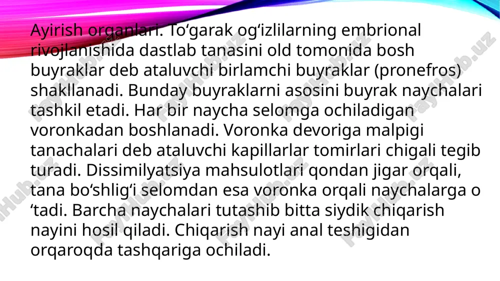 to’garak og’izlilar - Page 4