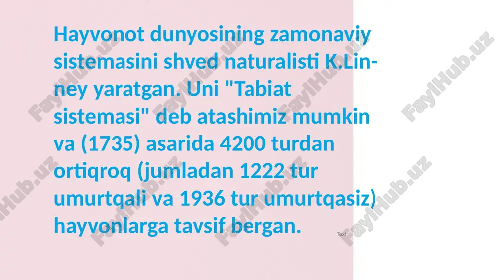 umurtqasizlar zoologiyasi - Page 4