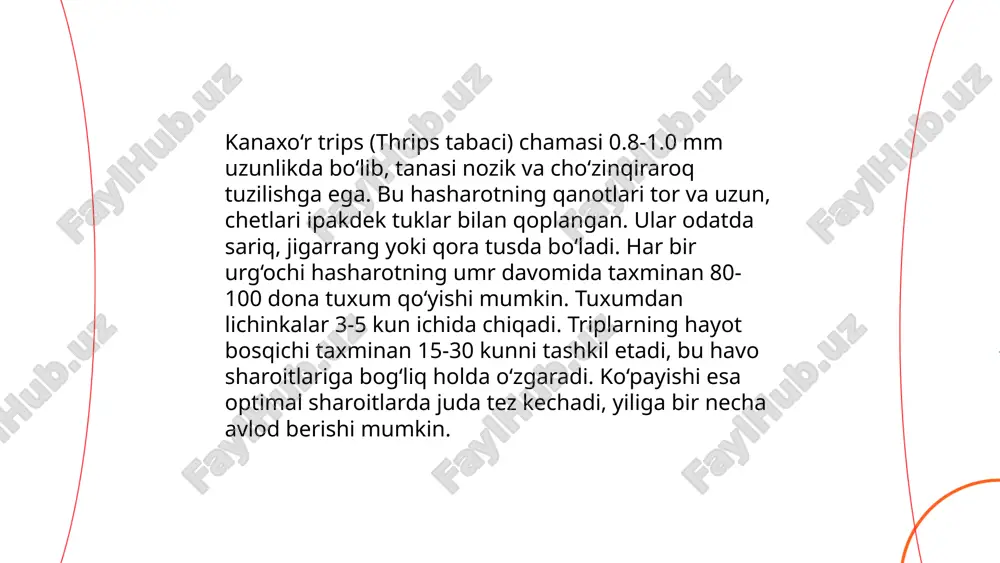 s yetti nuqtali xonqizlarni morfologiyasini oʻrganish to'rayeva kumush e'tiboringiz uchun raxmat! image1.png image2.png image3.png image4.jpg image5.png image6.jpg image7.png