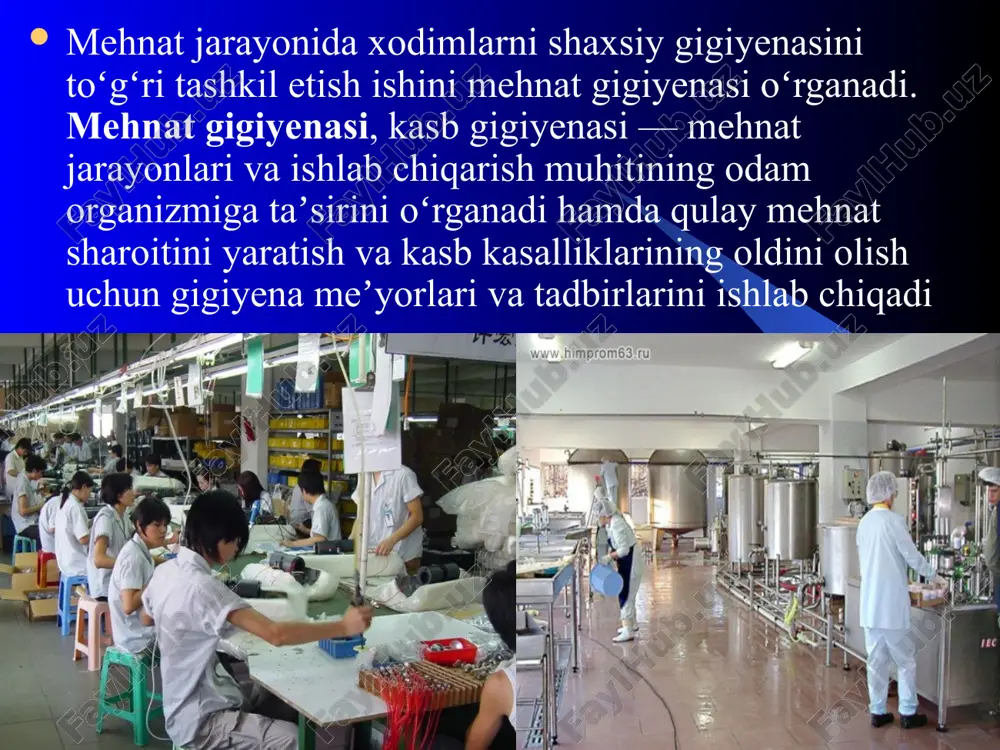 xodimlar shaxsiy gigiyenasini qoidalariga amal qilishning laboratoriya nazorati - Page 4