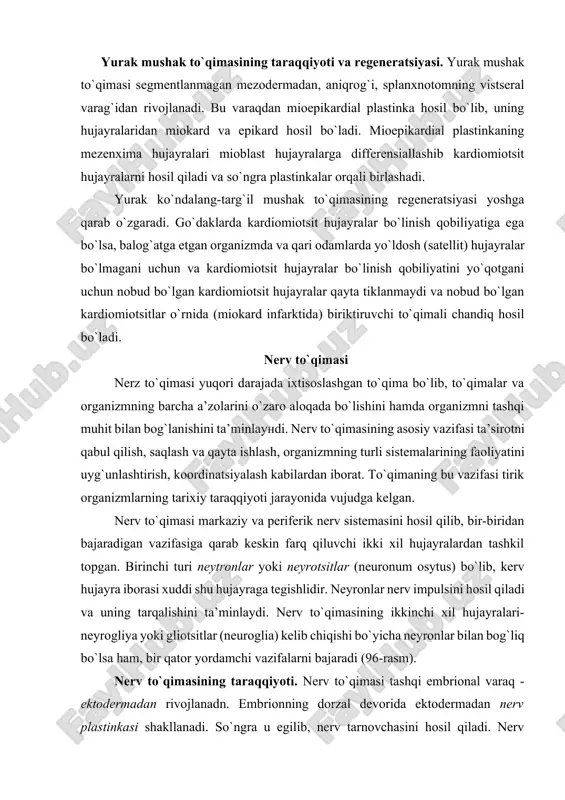 jayralari va neyrogliyaning turlari (sxema). 1-multipolyar neyron; 2-bipolyar neyron; 3-unipolyar neyron; 4 -psevdouniplyar neyron; 5-ependimogliya; 6- plazmatik astrotsit; 7 - tolali astrotsit; 8-oligodendogliya; 9 - mikrogliya. nerv nayining teri ektodermasidan ajralishi davomida nerv tarnovchasining ko`tarilgan chetidagi hujayralar to`dasi ajraladi va ular nerv nayining ikki yon tomonida ganglioz plastinka yoki nerv qirrasini hosil qiladi. nerv nayidan keyinchalik bosh va orqa miya hamda nerv sistemasining periferik qismlari rivojlanadi, ganglioz plastinkadan esa sezuvchi nerv tugunlari va vegetativ iyerv sistemasi shakllanadi. taraqqiyotning ilk bosqichlarida nerv nayining devori bir qavat silindrsimon hujayralardan iborat bo`ladi. bu hujayralar tez mitotik bo`linishi natijasida nerv nayi yo`g`onlashadi va ko`p qavatli (soxta ko`p qavatli) bo`lib qoladi. bu davrda nerv nayi bir hujayra turidan - medulloblastlardan (medulla - miya, blastos - kurtak) iborat 6o`lib, keyinchalik ikki turga differentsiallashadi: 1) neyroblastlar-dumaloq shakldagi birlamchi nerv hujayralari bo`lib, ulardan neyronlar rivojlanadi; 2) spongioblastlar (glioblastlar) birlamchi neyroglial hujayralar bo`lib, ulardan har xil neyrogliya hujayralari rivojlanadi. …