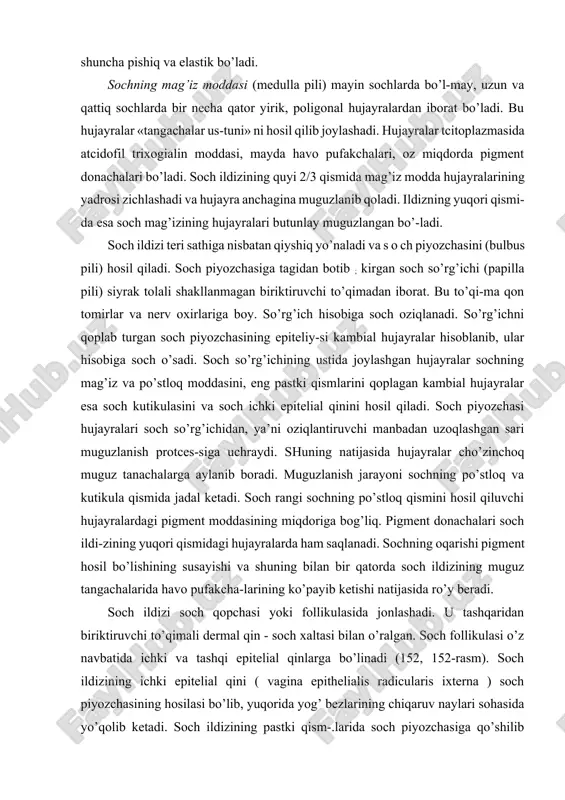 uzlangan, yadrosiz hujayralardan iborat genle qavatidan tarkib topgan (153-rasm). soch ildizining o’rta va yuqori qismlarida bu uchta qavat qo’shilib ketadi va faqatgina yumshoq keratin tutgan, butunlay muguzlangan hujayralardan iborat bo’ladi. soch ildizining tashqi epitelial qini ( vagina epithelialis radicularis ixterna) epidermis mal’pigi qavatining davomi hi-soblanib, piyozchasiga davom etadi. soch piyozchasiga yaqinlashgan sari ichki va tashqi qinlar yupqa-lashib boradi va faqat bazal qavatdan iborat bo’ladi. soch xaltasi ( vagina dermalis radicularis ) biriktiruvchi to’qimadan iborat bo’lib, unda ikki: ichki - aylana va tashqi - uzunasiga yo’nalgan kollagen tolalar qavatlarini ajratish mumkin. yuqo-rida bayon etilganidek, soch ildizi teri yuzasiga nisbatan qiy-shiq yo’nalgan bo’ladi. sochlar o’zining xususiy mushagi sochni ko’-taruvchi mushak (m. arrector pili) ka ega. u soqolda, qattiq va mayin sochlarda, qo’ltiq ostidagi sochlarda bo’lmaydi yoki yaxshi 153- rasm. ssch ildizipipg ko’ndalapg kesimi. gematoksilin- eozin bilan bo’yalgan.ob. 10.ok. 10. 1 - soch o’qining mag’iz qchsmi; 2 - po’stloq qismi; 3 - soch …