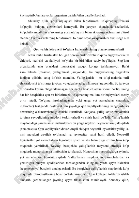 ahsulotlari bu yerga neytrofil leykotsitlarni jalb qiladi (xemotaksis). qon kapillyarlari devori orqali chiqqan neytrofil leykotsitlar yallig`la-nish maydoni atrofida to`planadi va leykotsitar valni hosil qiladi. neytrofil leykotsitlar yot zarrachalarni fagotsitoz qiladi va shu bilan birga o`zlari ham ko`p miqdorda yemiriladi. keyingi bosqichda yallig`lanish maydoni atrofiga ko`p miqdorda monotsitlar va limfotsitlar to`planadi. monotsitlar makrofaglarga aylanib, yot zarrachalarni fagotsitoz qiladi. yallig`lanish maydoni yot zarrachalardan va yemirilgan hujayra qoldiqlaridan tozalangandan so`ng bu yerda qayta tiklanish (regeneratsiya) bosqichi amalga oshadi. bu bosqichda yallig`lanish maydonida ko`p miqdorda fibroblastlarning hosil bo`lishi kuzatiladi. ular kollagen tolalarini ishlab chiqarib, jarohatlangan joyning qayta tiklanishini ta’minlaydi. shunday qilib, yallig`lanish jarayonida shartli ravishda ketma-ket keladigan uch bosqichni qayd qilish mumkin: a) leykotsitlar; b) makrofaglar; v) fibroblastlar bosqichlari. bu jarayonda aytib o`tilgan hujayralardan tashqari to`qima bazofillari, eozinofil va bazofil leykotsitlar ham ishtirok etadi. ichki muhit tuzilmalarining, ya’ni qon va biriktiruvchi to`qima hujayralarining o`zaro munosabati rangli sxemada keltirilgan (sxemaga qarang). bu sxema professorlar q. …