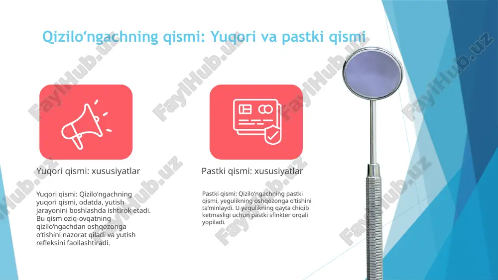 : ovqatlash ko'ngil aynishi xavf omillari , , . : semirish chekuvchilik stress davolash - , , dori darmonlar xirurgik aralashuv .o'zgarishlarni boshqarish qizilo ngach kasalliklarining belgilar ʻ va simptomlari qiziloʻngach kasalliklarida asosiy : , . belgilar yutish qiyinlishuvi ogʻriq : simptomlar farqlanishi giperteriozda , tez yurak urishi gipoteriozda . energiya pasayishi erta aniqlash : muhim davolanish imkoniyatini , .oshiradi asoratlarning oldini oladi photo by getty images on unsplash https://unsplash.com/@gettyimages?utm_source=ai_slide_maker&utm_medium=referral https://unsplash.com/photos/a-woman-has-an-annual-dental-check-up-in-dentist-surgery-5k_jcerub24?utm_source=ai_slide_maker&utm_medium=referral qizilo ngachda bajariladigan ʻ operatsiyalarning turlari asosiy operatsiyalar qiziloʻngach kasalliklarini davolashda bir . nechta asosiy operatsiyalar qo'llaniladi bular , orasida fundoplikatsiya dilatatsiya va .miotomiya mavjud operatsiyalarning vazifasi - fundoplikatsiya qizilo'ngach . tutilishlarini bartaraf etadi - dilatatsiya qizilo'ngach . torayishini kengaytiradi - miotomiya mushak spazmlarini .kamaytiradi xavf va foydalari , operatsiyalar xavflarni o'z ichiga oladi , . masalan infeksiya va qon ketishi foydasi esa qizilo'ngach faoliyatini .yaxshilashdir xulosa har bir bemor uchun operatsiya tanlash individual holatga bog'liq va .mutaxassis maslahati …