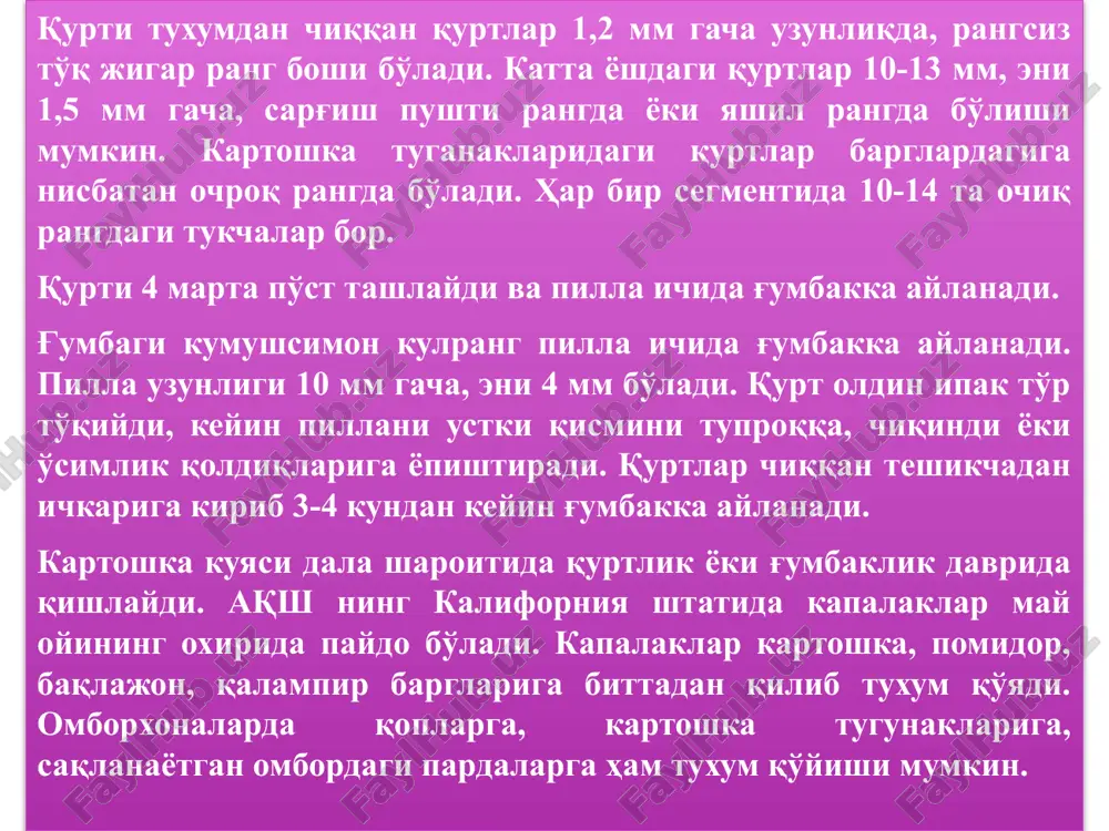 ya boshlaydi. urg'ochi qo'ng'iz odatda 400-800 ta, ko'pi bilan 2400 tagacha tuxum qo'yadi. lichinkalar o'sgan sari tobora xo'ralashadi va ko'payib ketgan taqdirda butun o'simlik barglarini eb qo'yadi. harorat 38 0s va havo quruq bo'lganda lichinkalar o'simlikning soya joylariga o'tib oladi. lichinkalari 15-25 kunda rivojlanib bo'ladi, shu davrda 3 marta tullaydi. oziqlanishini tamomlagan lichinkalar o'simliklardan erga tushib, tuproq ostiga kiradilar va 15 smdan 18 sm gacha chuqurlikda g'umbakka aylanadi, g'ubakdan 6-15 kundan keyin qo'ng'izlari chiqadi. ular tez orada juftlashib tuxum quya boshlaydi. voyaga etgan qo'ng'izlar qurg'oqchilik va issiqqa bemalol chidash beradi. kolorado qo'ng'izi +22-24° 25-30 kunda, +20-22° 30-40 kunda, +18-200 40-50 kunda va +16-18° 50-60 kunda bir nasl beradi. 3. qovun pashshasi - muiorardalis rardalipa vig. zarari. pashsha lichinkalari qovun etini eb, tamomila yaroqsiz qilib qo'yadi. odatda pashsha tekkan qovunlar iriydi. tarvuz ham pashsha lichinkalaridan qisman zararlanadi. tarqalishi. afg'oniston, eron, pokiston, hindiston, kichik osiyo, falastin, ozarbayjon, armanistonda, shimoliy kavkazning sharqiy qismida …