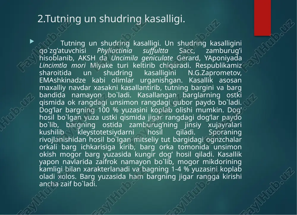 o’lib, tezda tushib ketadi. ba’zan har xil shakldagi va o’lchamdagi jigar rangdagi dog’lar paydo bo’ladi.  tut bargining buralish va mozayikasi xitoyda, yaponiyada va o’zbekistonda, gruziyada uchraydi. kasallangan o’simlik barglarining xloroz holiga kirib, yuzasi g’adir budir bo’lganligi, barglarning buralib ketganligini ko’rish mumkin.  kasallikka qarshi kurashda kasalikka chidamli navlarni ekish va kasallik tarqalgan joylardan payvandlash uchun materiallar olib kelish taqiqlanadi. eng muhimi, agrotexnik tadbirlarni o’z vaqtida o’tkazish va belgilangan muddatlarda novdalarni qirqish kerak, ipak qurti uchun novdalar qirqilganda har bir tupda 3 tadan novdani qoldirish maqsadga muvofiq. 4.virus kasalliklariga qarshi kurash choralari  fitopatogen viruslar bilan kasallangan o’simliklarni davolash mumkin emas. dalalarda virus kasalliklarining tarqalmasligi uchun proflaktik, ogohlantiruvchi chora tadbirlarni o’z vaqtida qo’llash zarur. eng muhim tadbirlardan biri virus kasalliklariga chidamli navlarni yaratish hisoblanadi. qishloq xo’jalik ekinlari orasida- virus kasalliklariga nisbatan chidamli navlar mavjudligi tufayli viruslarning salbiy ta’siri sezilmaydi yoki o’simliklarning immunnologik xususiyati tufayli kasallik belgilari namoyon bo’lmaydi. chidamli navlarda …
