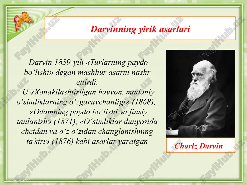 hayvonlar evolyutsiyasi va ekalogiyasi - Page 4