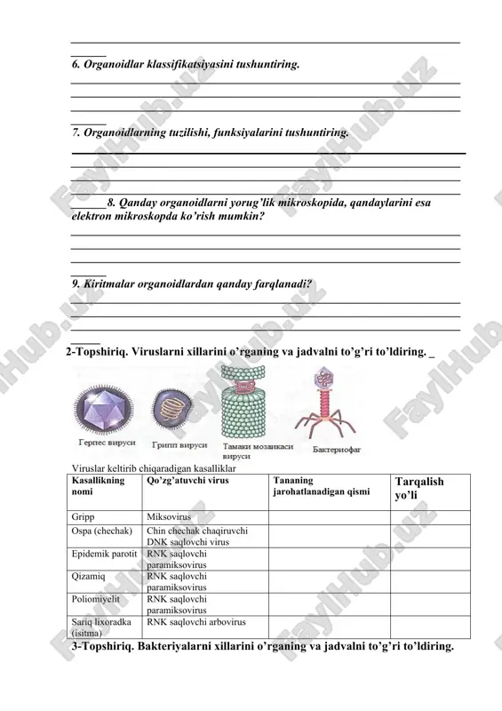 dlar klassifikatsiyasini tushuntiring. ____________________________________________________________________________________________________________________________________________________________________________________________________________ 7. organoidlarning tuzilishi, funksiyalarini tushuntiring. ____________________________________________________________________________________________________________________________________________________________________________________________________________8. qanday organoidlarni yorug’lik mikroskopida, qandaylarini esa elektron mikroskopda ko’rish mumkin? ____________________________________________________________________________________________________________________________________________________________________________________________________________ 9. kiritmalar organoidlardan qanday farqlanadi? ___________________________________________________________________________________________________________________________________________________________________________________________________________ 2-topshiriq. viruslarni xillarini o’rganing va jadvalni to’g’ri to’ldiring. _ viruslar keltirib chiqaradigan kasalliklar kasallikning nomi qo’zg’atuvchi virus tananing jarohatlanadigan qismi tarqalish yo’li gripp miksovirus ospa (chechak) chin chechak chaqiruvchi dnk saqlovchi virus epidemik parotit rnk saqlovchi paramiksovirus qizamiq rnk saqlovchi paramiksovirus poliomiyelit rnk saqlovchi paramiksovirus sariq lixoradka (isitma) rnk saqlovchi arbovirus 3-topshiriq. bakteriyalarni xillarini o’rganing va jadvalni to’g’ri to’ldiring. bakteriyalar keltirib chiqaradigan kasalliklar. kasallikning nomi qo’zg’atuvchi virus tananing jarohatlanadigan qismi tarqalish yo’li tuberkulyoz (sil) mycobacterium tuberculosis-tayoqchasimon bakteriya difteriya (bo’g’ma) coryne bacterium diphterine-tayoqchasimon bakteriya coclyush(ko’kyo’tal) bordetella pertussis-tayoqchasimon bakteriya gonoreya(so’zak) neisseria gonorrhoeae-kokksharsimon ba