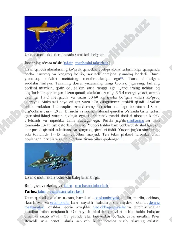 ularga koʻpincha baliq - uchuvchilar, yopishqoq baliqlar va delfinlar hamroh boʻladi[7]. oxirgi haqiqat ajablanarli, chunki yirtqichlar koʻpincha bu oltin-yashil baliqlarni yeyishadi[8]. 1988-yilda uzun qanotli akulalar uchuvchi kitlar hamrohligida kuzatilgan[9]. uzun qanotli akulalar tanasida xarakterli belgilar insonning oʻzaro taʼsiri[tahrir | manbasini tahrirlash] uzun qanotli akulalarning koʻkrak qanotlari boshqa akula turlarinikiga qaraganda ancha uzunroq va kengroq boʻlib, sezilarli darajada yumaloq boʻladi. burni yumaloq, koʻzlari nictitating membranalariga ega[7]. tana choʻzilgan, soddalashtirilgan. tananing dorsal yuzasining rangi bronza, jigarrang, kulrang boʻlishi mumkin, qorin oq, baʼzan sariq rangga ega. qanotlarning uchlari oq dogʻlar bilan qoplangan. uzun qanotli akulalar uzunligi 3,5-4 metrga yetadi, ammo uzunligi 1,5-2 metrgacha va vazni 20-60 kg gacha boʻlgan turlari koʻproq uchraydi. maksimal qayd etilgan vazn 170 kilogrammni tashkil qiladi. ayollar erkaklarnikidan kattaroqdir; erkaklarning oʻrtacha kattaligi taxminan 1,8 m, urgʻochilar esa - 1,9 m. birinchi va ikkinchi dorsal qanotlar oʻrtasida baʼzi turlari egar shaklidagi yorqin nuqtaga ega. uchburchak pastki tishlari nisbatan kichik oʻlchamli …