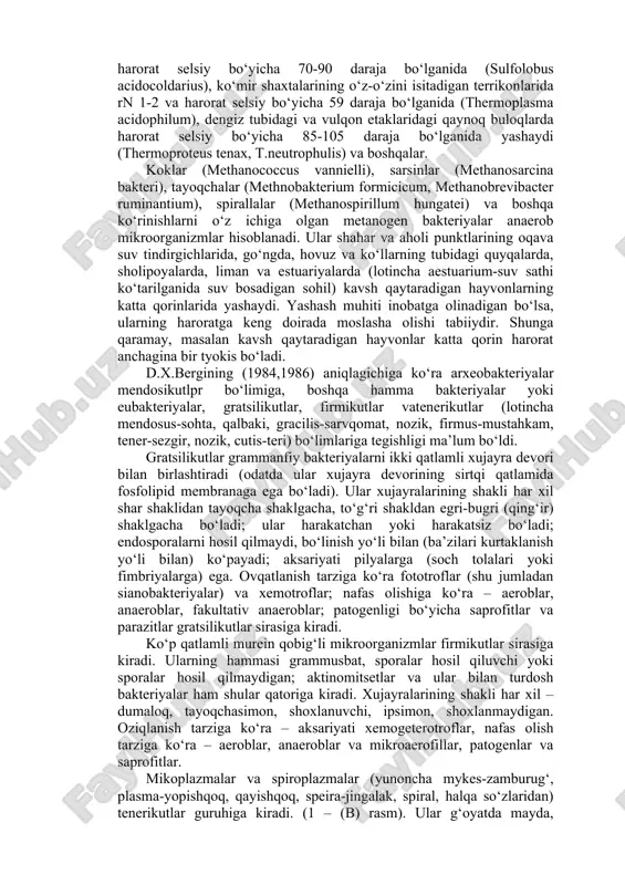 bakteriyalar fototrof bakteriyalar hisoblanadi; grammusbat va grammanfiy bakteriyalar hamda batsillalar, miksobakteriyalar, poyali va kurtaklanuvchi bakteriyalar, vibrionlar, spirallalar, spiroxedlar, aktinomitsetlar, korinebakteriyalar, mikobakteriyalar, rikketsiyalar, xlamidiyalar, mikoplazmalar va spiroplazmalar – xemotrof bakteriyalar hisoblanadi. galobakteriyalar haloarcula, halobacterium, halococcus, natrobakterium, natrococcus oilalarini o‘z ichiga oladi. ular dengiz tuz konlarida bo‘ladi (ular uchun natriy xloridning eng mo‘tadil miqdori 3,5-5m). termoatsidofil bakteriyalar nordon issiq buloqlarda rn 2-3 va harorat selsiy bo‘yicha 70-90 daraja bo‘lganida (sulfolobus acidocoldarius), ko‘mir shaxtalarining o‘z-o‘zini isitadigan terrikonlarida rn 1-2 va harorat selsiy bo‘yicha 59 daraja bo‘lganida (thermoplasma acidophilum), dengiz tubidagi va vulqon etaklaridagi qaynoq buloqlarda harorat selsiy bo‘yicha 85-105 daraja bo‘lganida yashaydi (thermoproteus tenax, t.neutrophulis) va boshqalar. koklar (methanococcus vannielli), sarsinlar (methanosarcina bakteri), tayoqchalar (methnobakterium formicicum, methanobrevibacter ruminantium), spirallalar (methanospirillum hungatei) va boshqa ko‘rinishlarni o‘z ichiga olgan metanogen bakteriyalar anaerob mikroorganizmlar hisoblanadi. ular shahar va aholi punktlarining oqava suv tindirgichlarida, go‘ngda, hovuz va ko‘llarning tubidagi quyqalarda, sholipoyalarda, liman va estuariyalarda (lotincha aestuarium-suv sathi …