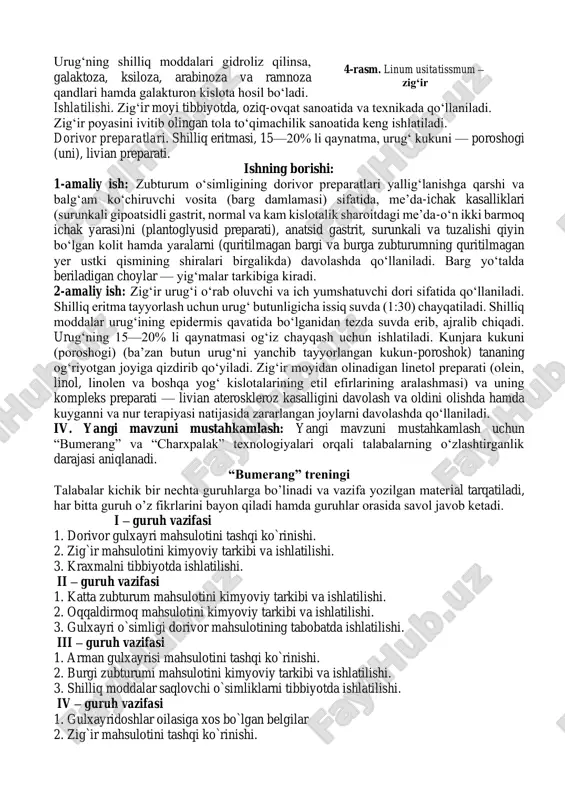 osita (barg damlamasi) sifatida, me’da-ichak kasalliklari (surunkali gipoatsidli gastrit, normal va kam kislotalik sharoitdagi me’da-o‘n ikki barmoq ichak yarasi)ni (plantoglyusid preparati), anatsid gastrit, surunkali va tuzalishi qiyin bo‘lgan kolit hamda yaralarni (quritilmagan bargi va burga zubturumning quritilmagan yer ustki qismining shiralari birgalikda) davolashda qo‘llaniladi. barg yo‘talda beriladigan choylar — yig‘malar tarkibiga kiradi. 2-amaliy ish: zig‘ir urug‘i o‘rab oluvchi va ich yumshatuvchi dori sifatida qo‘llaniladi. shilliq eritma tayyorlash uchun urug‘ butunligicha issiq suvda (1:30) chayqatiladi. shilliq moddalar urug‘ining epidermis qavatida bo‘lganidan tezda suvda erib, ajralib chiqadi. urug‘ning 15—20% li qaynatmasi og‘iz chayqash uchun ishlatiladi. kunjara kukuni (poroshogi) (ba’zan butun urug‘ni yanchib tayyorlangan kukun-poroshok) tananing og‘riyotgan joyiga qizdirib qo‘yiladi. zig‘ir moyidan olinadigan linetol preparati (olein, linol, linolen va boshqa yog‘ kislotalarining etil efirlarining aralashmasi) va uning kompleks preparati — livian ateroskleroz kasalligini davolash va oldini olishda hamda kuyganni va nur terapiyasi natijasida zararlangan joylarni davolashda qo‘llaniladi. iv. yangi mavzuni mustahkamlash: yangi mavzuni …