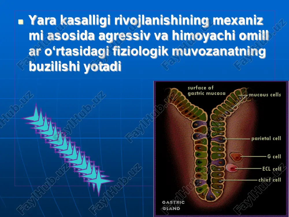 me’da-ichak yara kasalligi va uni davolash metodi - Page 4