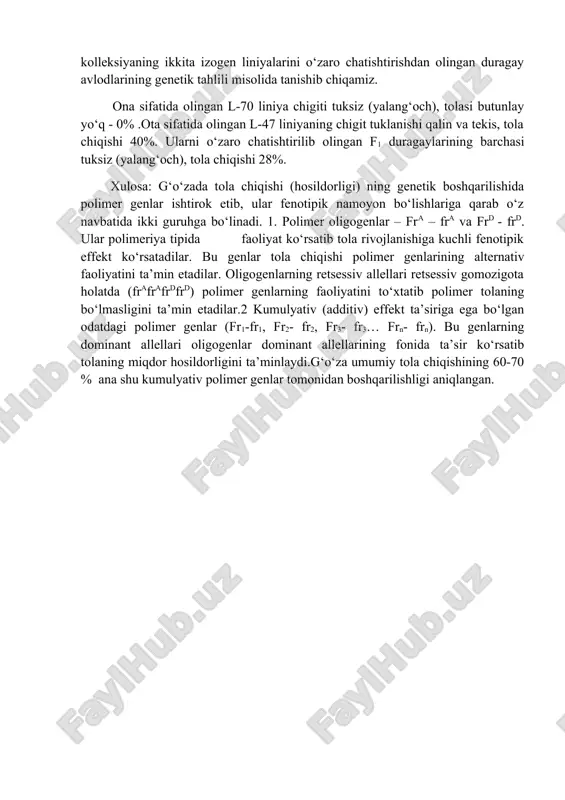 za va yon tomonlarida tuklanishning rivojlanishini ta’minlaydi. shuning uchun bu gen qo‘shimcha gen deb ataladi. uning allellari to‘liqsiz dominantlik holatida irsiylanadi. fc-fc geni ham strukturaviy genlarga kiradi. 3. epistatik ta’sir etuvchi gen gen-ingibitor (i-i). bu genning domi-nant allellari ham gomo- va geterozigota (ii, ii) holatlarda yuqorida bayon etilgan uchta strukturaviy genlar (ft1ft1 , ft2ft2 , fcfc) ning faoliyatini butunlay to‘xtatadi, natijada iift1ft1ft2ft2fcfc yoki iift1ft1ft2ft2fcfc genotip-larga ega bo‘lgan o‘simliklarning chigitlari tuksiz (yalang‘och) bo‘ladi. tola chiqishining irsiylanishi. g‘o‘zada miqdor belgi bo‘lgan tola chiqishining irsiylanish qonunlari bilan chigitning tuklanishi va tola chiqishi jihatidan ham genotipi, ham fenotipi bilan alternativ bo‘lgan genetik kolleksiyaning ikkita izogen liniyalarini o‘zaro chatishtirishdan olingan duragay avlodlarining genetik tahlili misolida tanishib chiqamiz. ona sifatida olingan l-70 liniya chigiti tuksiz (yalang‘och), tolasi butunlay yo‘q - 0% .ota sifatida olingan l-47 liniyaning chigit tuklanishi qalin va tekis, tola chiqishi 40%. ularni o‘zaro chatishtirilib olingan f1 duragaylarining barchasi tuksiz (yalang‘och), tola chiqishi 28%. …