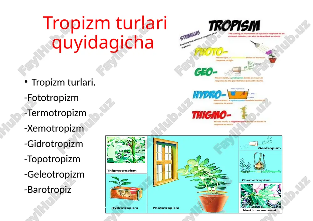 xulq-atvorni psixofiziologikasi - Page 4