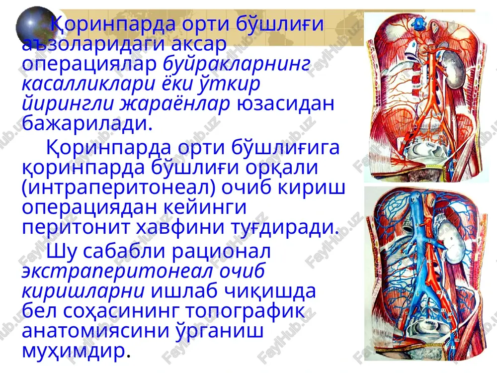 qorinparda ortibo'shlig'i klinik anatomiyasi - Page 4