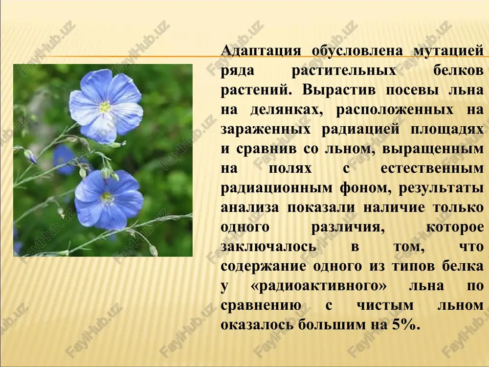 voego rosta, podobno tomu, kak zelenie rasteniya pogloshayut energiyu solnechnogo sveta v vidimom diapazone. 32 35 34 36 jurnal «fizika – pervoe sentyabrya» № 4/2013 issledovateli ustanovili, chto opredelennie vidi gribov ne otyagosheni radiatsiey – oni mogut jit blagodarya izlucheniyu! drugie vidi gribov sobirayut visokotoksichnie radioaktivnie izotopi – takie kak tseziy-137 – i obezvrejivayut tem samim pochvu. vid chernogo plesnevogo griba - cryptococcus neoformans - i drugie vidi rastut pri visokom vozdeystvii izlucheniya bistree, chem rodstvennie im gribi v normalnix usloviyax. kajetsya, chto gribi ispolzuyut melanin, chtobi vpitat v sebya energiyu ioniziruyushego izlucheniya, podobno tomu, kak rasteniya ispolzuyut xlorofil, chtobi usvoit solnechnie luchi. jurnal «fizika – pervoe sentyabrya» № 4/2013 mutirovavshie gribi, virosshie na razvalinax ximicheskogo zavoda. radiatsionniy fon chut vishe estestvennogo. http://dimastuui.livejournal.com/42153.html tseziy-137, kotorim oni "bogati", silnee vsego deystvuet na serdechno-sosudistuyu sistemu, pechen, chastotu raboti serdtsa. pochki ochen aktivno nakaplivayut radioaktivniy tseziy, chto privodit k patologicheskim izmeneniyam. radioaktivnie veshestva …