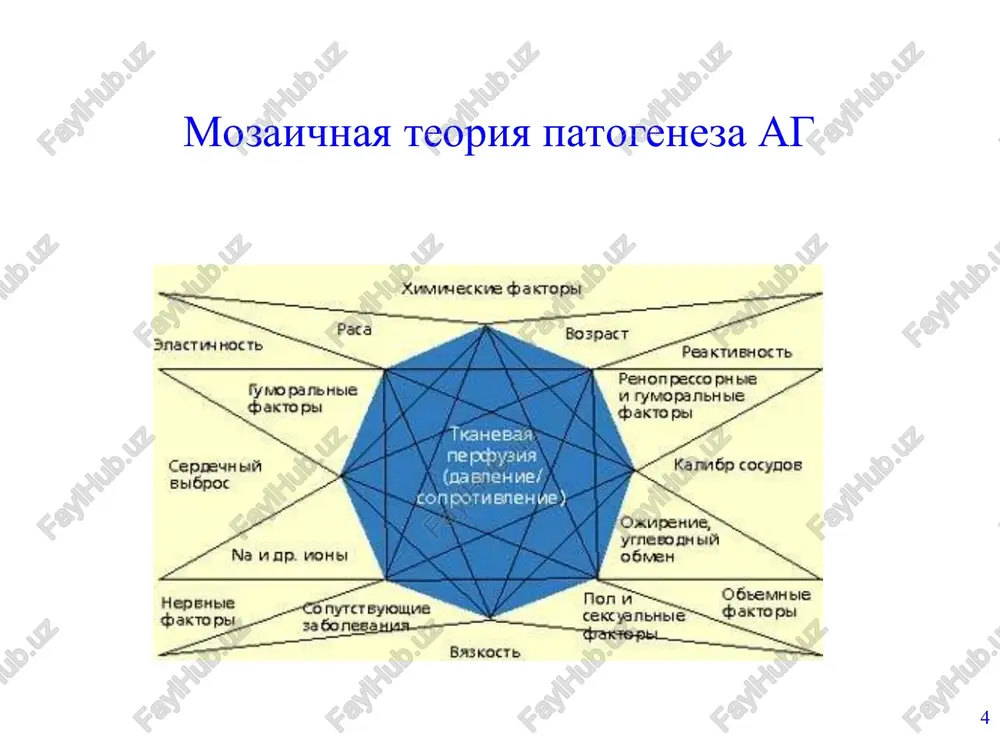tadii gb stadiya i net porajeniya organov-misheney i assotsiirovannix klinicheskix sostoyaniy stadiya ii est porajeniya organov-misheney, net assotsiirovannix klinicheskix sostoyaniy stadiya iii est assotsiirovannie klinicheskie sostoyaniya * diagnostika ag i posleduyushee obsledovanie vklyuchaet sleduyushie etapi: povtornie izmereniya ad; sbor anamneza; fizikalnoe obsledovanie; laboratorno-instrumentalnie metodi issledovaniya: bolee prostie na pervom etape i slojnie — na vtorom etape obsledovaniya. * naibolee xarakternie jalobi bolnix gb: golovnie boli razlichnogo xaraktera i geneza; golovokrujeniya, narusheniya pamyati, shum v golove, razdrajitelnost, bistraya utomlyaemost, podavlennost nastroeniya; melkanie “mushek” pered glazami i drugie priznaki narusheniya zreniya; boli v oblasti serdtsa, nebolshaya pastoznost podkojnoy kletchatki. * laboratornie i instrumentalnie metodi issledovaniya issledovaniya, rekomenduemie obyazatelno: obshiy analiz krovi i mochi; soderjanie v plazme krovi glyukozi (natoshak); soderjanie v sivorotke krovi oxs, xs lvp, tg, kreatinina, mochevoy kisloti, kaliya; ekg; issledovanie glaznogo dna; exokg. * laboratornie i instrumentalnie metodi issledovaniya dopolnitelno rekomenduemie issledovaniya: rentgenografiya grudnoy kletki; uzi pochek i nadpochechnikov; …