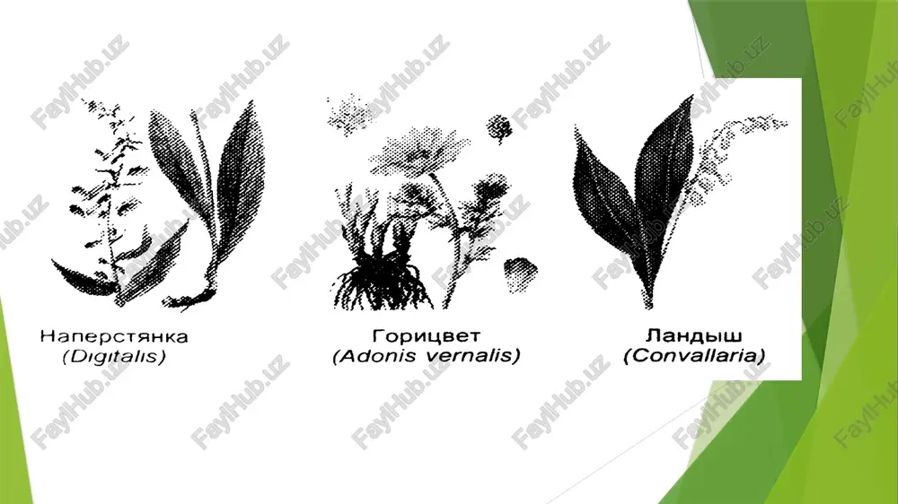 vallaria) fopuubert (adonis vernalis) hanepctahka (digitalis) 6 p crpodar crpo2"” crpogat os a { we g f ~ = i 7 cthodalthi-aphnya xp ac fy cre nna strophanthin pactop ana ukbekynin 10 amnyn no 4 mn ctepuneho.8) hytpubehho npnmensrs no x hayehiio bpaya ayn 8 henoctynom are ered ey xpanute 8 opima, ibhomt ynakoake pm teunepatype ne pz baie 25 °¢. a9pag0tka thug, *. xappxos, awiutokcuh lekarstvennik.ru bq mexahm3m kapamotohmyeckoro nevctbua cepaeyhbix pnuko3ma0b | nat ca?* k+ nat | — bo36yxnehue memopauhb! ci sp cs be ma re grr icr ti rie icr od po «oooo? «se se so ey im “ss solo? ss, 6s onook sh-rpyn7 sr ay ee ptr at®-a3b! na*. kt-hacoca. “ca2+ nav. k* ll —conpsaxehue bo30yxgehua sc; c ccokpawehnem; re a ee ee lll — cokpawehne t ca2*, nepexoga rno6y- naphoroo (i) aktuha b a chu6punnsaphpin (©), ato- aktuhomuo3uh aktubhoctu muo3kha /docprops/thumbnail.jpeg jopax ereumrosocumma sautancramracmperaparsap