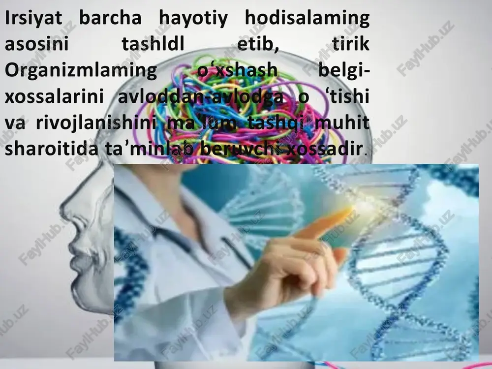 irsiyatning moddiy asoslari - Page 4