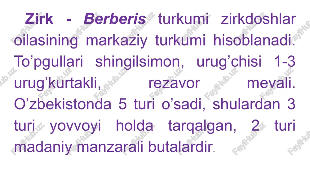 zirkdoshlar va nargisdoshlari oilalari - Page 4