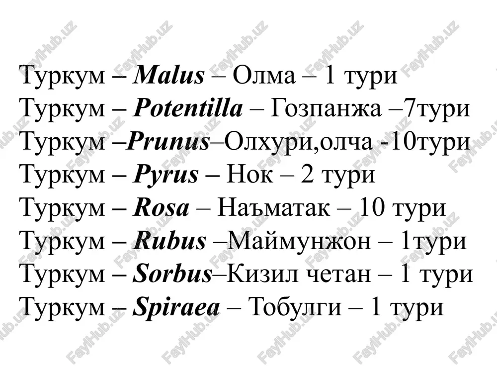 ra`nodoshlaroilasi-rosaceae - Page 4