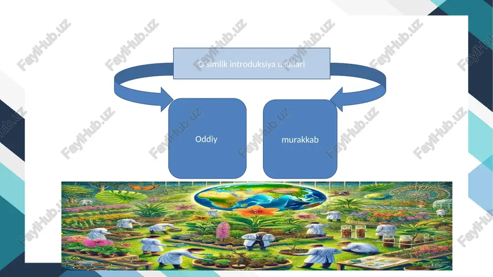tabiiy va antropogen)-introduksiya sharoitining tabiiy (iqlim, rel’ef, geologik, gidrogeologik, tuproq, tabiiy o‘simlik qoplamlari, shamol,hayvonot olami)omillari. introduksiyaga misol qilib oblepixa o’simligining qoraqalpog’istonda yetishtirilishini aytib o’tsak bo’ladi. hozirgi kunda ushbu turga 3 ta oblepixa turi kiritilgan. – jumurtsimon oblepixa-hippophae rhamnoides, – tol bargli oblepixa-hippophae salicifolia, – tibet oblepixasi-hippophae tibetana. yuqoridagi oblepixa turlaridan jumurtsimon oblepixa keng arialga ega bo’lib, yevropa kontinentida angilya, skandinaviya mamlakatlari, balgariya, germaniya, serbiya, polsha, rossiyaning kalilingrad viloyatida, osiyo kontinentida avg’onistonda, eronda, pokistonda, hindistonda tabiiy holda o’sadi. oblepixa o’simligi qoraqalpog’iston respublikasi hududida tabiiy holda uchramaydi.o’zbekiston respublikasi fanlar akademiyasi qoraqalpog’iston bo’limining botanika bog’iga 1963-yilda toshkent botanika bog’idan uning novdasi olib kelinib intradukciya qilindi. keyinchalik, 1980-yilda qirg’izistonnan (tikanli shakli), 1981–1983 yillari oltoy o’lkasidan ko’chatlari olib kelinib ekila boshladi. 2.noyob va yoʻqolib ketish xavfi ostida turgan oʻsimlik turlarini reintroduksiya qilish. reintroduksiya (qayta tiklash) - oʻsimliklarni ular ilgari oʻsgan, lekin yoʻqolib ketgan yoki yoʻq boʻlib ketgan deb hisoblangan joylar va hududlarga qaytadan (tiklash) introduksiya …
