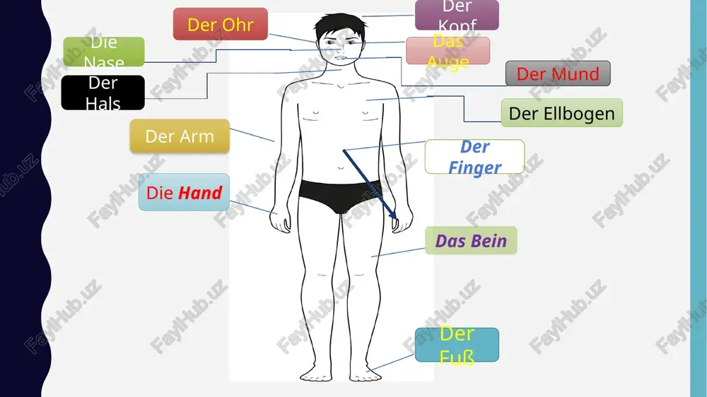 gesundheit und krankheit - Page 4