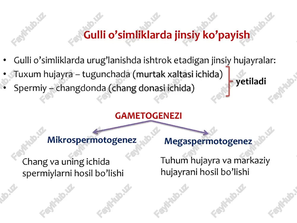 chigadigan yoki tug‘iladigan individ voyaga yetgan individga o‘xshash bo‘ladi. lekin voyaga yetgan individga nisbatan nerv sistemasi faoliyati birmuncha sodda, jismonan ancha zaif hamda ba’zi organlari (jinsiy organlar) yetilmagan bo‘ladi. ¢ sudralib yuruvchilarda, qushlarda, sutemizuvchilarda kuzatiladi. bilvosita rivojlanish ya’ni metomorfoz tipda (notog’ri) rivojlanish. bunda tuxumdan lichinka chiqadi va turni tarqalishiga mezon sanaladi chunki ba’zi turlar voyaga yetganda o’troq hayot kechiradi ularning tarqalish davri esa fagat lichinkalik davriga to’g’ri keladi. masalan: bulutlar, aktiniyalar, korall poliplari, ko‘p tukli halgali chuvalchanglar. hasharotlarda to’la metomorfoz chala metomorfoz tuxum- lichinka- g’umbak - adult * tuxum- lichinka - adult qattiqqanotlilar ¢ suvaraklar » pardaqanotlilar * to’g’riqanotlilar ikkiqanotlilar turkumlari * termitlar > turkumlari tangachaqanoltlilar * qandalalar burgalar * bitlar * beshiktebratarlar~ metomorfoz a > ¢ assidiyada ¢ amfibiyada regressiv metomorfoz kuzatiladi. * progressiv metomorfoz kuzatiladi. organizm voyaga yetish davrida * voyaga yetish davrida organizm tubanlashadi, uning ba’zi a’zolari yuksaladi, ba’zi a’zolar paydo bo’ladi. yo’qolib ketadi. masalan: * masalan: …