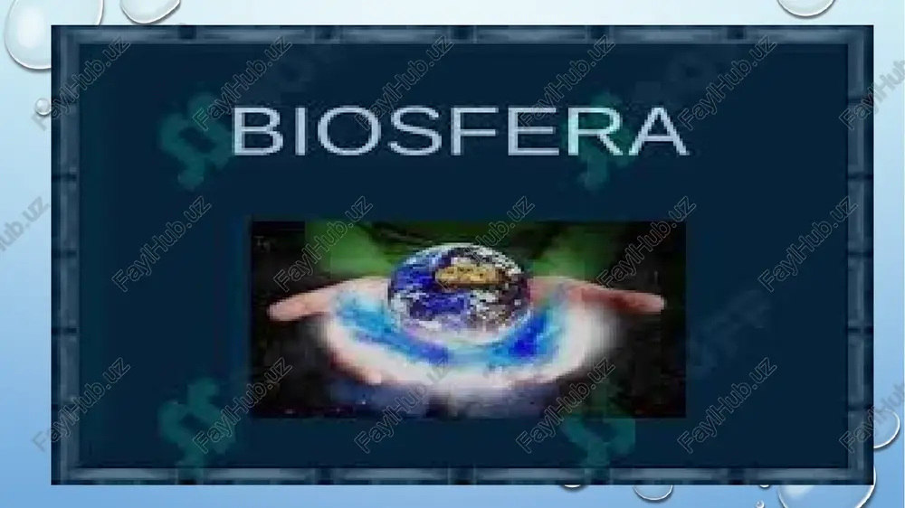 biosfera va atmosfera - Page 4