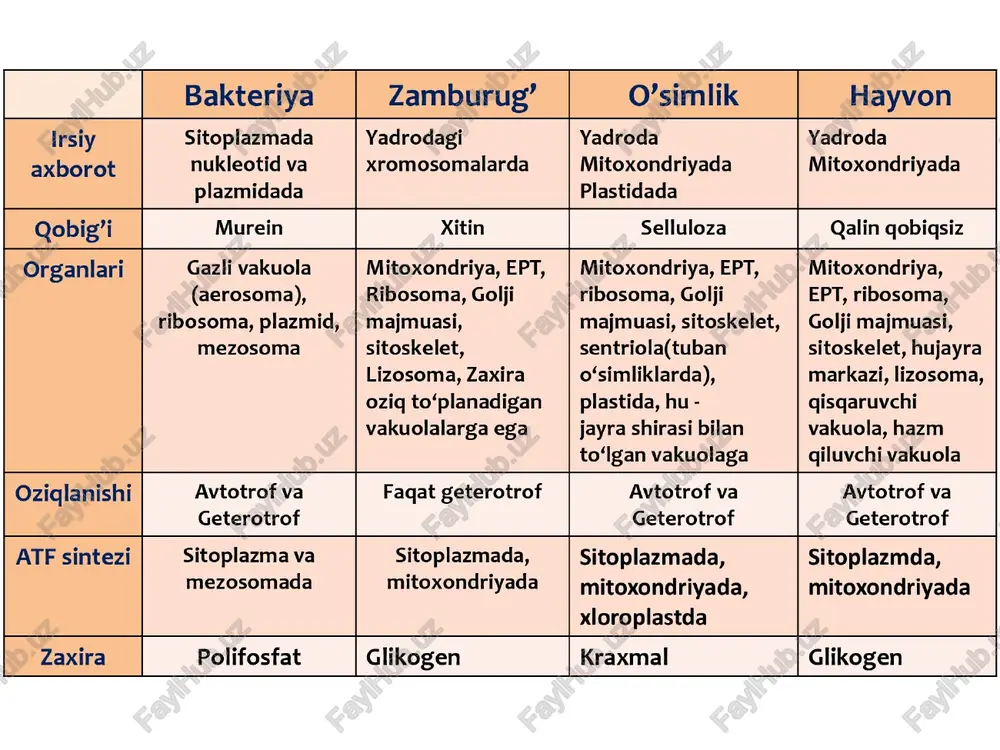 bo’ladi. shulardan 38 moli atf hosil bo’lish jarayonida, qolgan 6 mol h2o glukozaning parchalanishidan hosil bo’lgan. = tayyorgarlik bosqichi: (cshi00s)n+h20 > + q 4 issiqlik energiyasi kraxmal glukoza = glukozaningchala parchalanish bosgqichi: c6h1206 }+ 2 h3po4+ 2 adf \ 2 c3h603} + 2atf+ 2h20 glukoza (sut kislota) ami: 200 kj energiya ajraladie= 80 kj — atf da to’planadi; (40%) 120 kj — issiqlik sifatida tarqaladi. (60 9 » aerob b ch: (2c,h,0}} 60, + 36h,po, + 36adf > 6co, + 42h,o + 36atf im 2600 kj energiya ajraladi: - 1440 kj — atf da to’planadi. - 1160 kj — issiqlik sifatida tarqaladi. glukozaning to’liq parchalanish bosqichi: + 60, + 38h,po, + 38adf > 6co, + 44h,o + 38atf jami: 2800 kj energiya ajraladi: - 1520 kj — atf da to’planadi. - 1280 kj — issiqlik sifatida tarqaladi. nafas olish jarayoni t/r xos xususiyatlar bosqichlari i ii til mitoxondriyalarda sodir bo‘ladi …