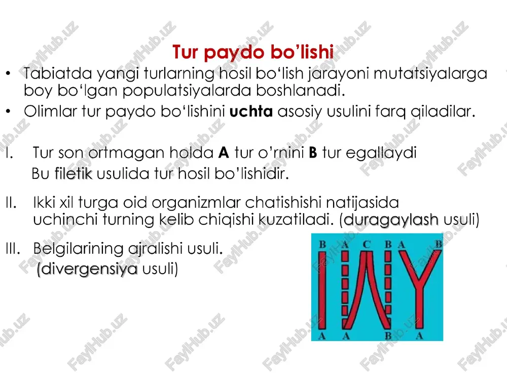 vodiarda 0’z aksini toogan. odam eritrotsitlaridagi gemoglobin oagsili o'zaro o'xshash ikkita a va ikkita b zanjirdan tashkil topgan. a zanjirning har bir 141 tadan, aminokislota b zanjirining har bir zanjiri 146 tadan qoldig‘idan iborat. gemoglobinning a va b zanjirlari o'zaro farg qilsa ham, ulardagi aminokislotalarning joylanish izchilligi bir-biriga o'xshash. bu holat gemoglobin a va b zanjirlari tarixiy jarayonda yagona polipeptid zanjir divergensiyasi natijasida paydo bo'lganligidan dalolat beradi. odam va boshqa hayvonlar gemoglobin odam va boshqa organizmlarning zanjiridagi aminokislotalar tarkibidagi s sitoxromi aminokislotalar farg (v. grant bo‘yicha) tarkibidagi farq (v. grant bo‘yicha) turlar farqlar soni turlar farqlar soni a zanjir | 8 zanjir odam — makaka 1 dam — ot 12 odam — shimpanze | 0 0 odam ~ 0 odam — kaptar 12 odam — gorilla l 1 odam — ilon 14 odam — ot 18 25 odam — baga 18 odam — echki 20-21 | 28-33 odam — akula …