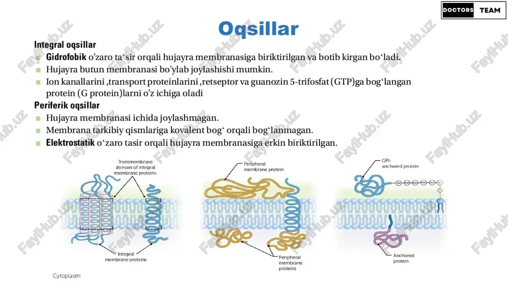 lide55.xml.rels ppt/slides/_rels/slide56.xml.rels ppt/slides/_rels/slide57.xml.rels ppt/slides/_rels/slide58.xml.rels ppt/slides/_rels/slide59.xml.rels ppt/slides/_rels/slide6.xml.rels ppt/slides/_rels/slide60.xml.rels ppt/slides/_rels/slide61.xml.rels ppt/slides/_rels/slide62.xml.rels ppt/slides/_rels/slide63.xml.rels ppt/slides/_rels/slide64.xml.rels ppt/slides/_rels/slide65.xml.rels ppt/slides/_rels/slide7.xml.rels ppt/slides/_rels/slide8.xml.rels ppt/slides/_rels/slide9.xml.rels [content_types].xml obrazets zagolovka obrazets podzagolovka obrazets zagolovka obrazets teksta vtoroy uroven tretiy uroven chetvertiy uroven pyatiy uroven obrazets zagolovka obrazets teksta obrazets zagolovka obrazets teksta vtoroy uroven tretiy uroven chetvertiy uroven pyatiy uroven obrazets teksta vtoroy uroven tretiy uroven chetvertiy uroven pyatiy uroven obrazets zagolovka obrazets teksta obrazets teksta vtoroy uroven tretiy uroven chetvertiy uroven pyatiy uroven obrazets teksta obrazets teksta vtoroy uroven tretiy uroven chetvertiy uroven pyatiy uroven obrazets zagolovka obrazets zagolovka obrazets teksta vtoroy uroven tretiy uroven chetvertiy uroven pyatiy uroven obrazets teksta obrazets zagolovka obrazets teksta obrazets zagolovka obrazets teksta vtoroy uroven tretiy uroven chetvertiy uroven pyatiy uroven obrazets zagolovka obrazets teksta vtoroy uroven tretiy uroven chetvertiy uroven pyatiy uroven obrazets zagolovka obrazets teksta vtoroy uroven tretiy uroven chetvertiy uroven pyatiy uroven hujayra fiziologiyasi. hujayra membranasi orqali transport. oddiy diffuziya. osonlashtirilgan diffuziya. …