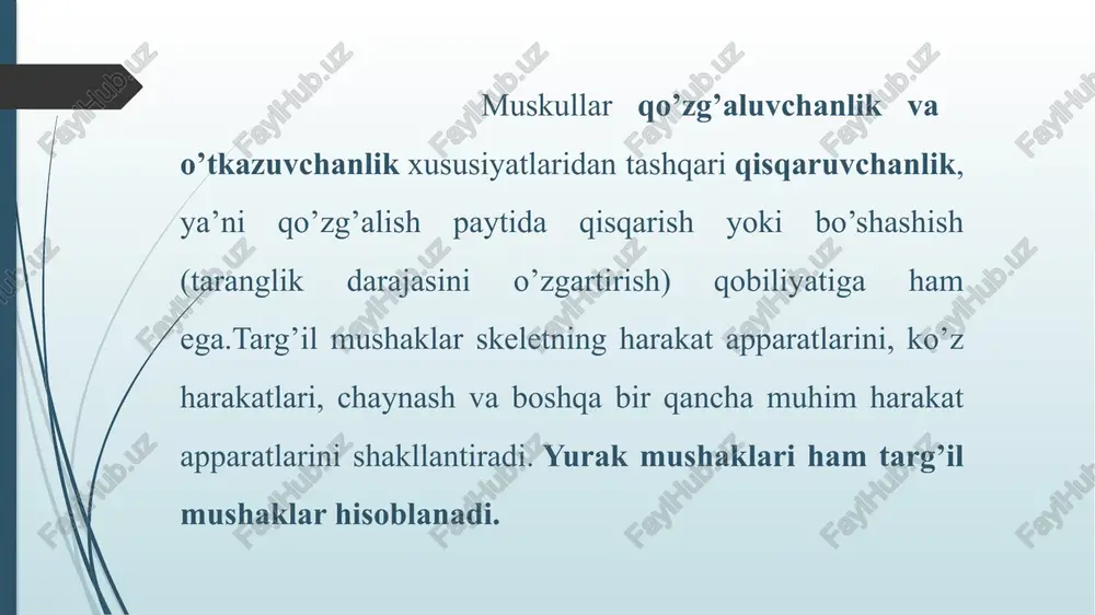 nligining yoki uning taranglik darajasini, yoki bir vaqtda ikkala holatining o’zgarishida namoyon bo’ladi.barcha sarkomerlarda, miozin iplarni aktin iplar bilan birlashtirib turadigan, ko’ndalang joylashgan ko’prikchalar mavjud. mushak tolasi qisqarganda miozin va aktin iplari kaltalashmaydi, biri ikkinchisi ustida sirpanadi: aktin iplar miozin iplar orasiga sirpanib kiradi, natijada i disklar kaltalashadi, a disklarning uzunligi o’zgarmaydi. bir-biriga ulangan sarkomerlarning har bittasini uzunligi taxminan 30 foizga kamayadi, shu bilan birga tola ham kaltalashadi. ko’ndalang ko’prikchalarning harakatlari tufayli aktin iplar miozin iplar oralig’iga sirpanib kiradi. miozin iplar shohlanib, har qaysisi taxminan 150 miozin molekulasidan tashkil topgan boshchalarni hosil qiladi. bu boshchalar miozin ipning o’simtasi bo’lib, uni, qisqarish vaqtida, atrofdagi aktin iplar bilan bog’lab turadi . ko’ndalang ko’prikchalarning boshchalari eshkaksimon harakat qilib, aktin iplarni miozin iplar oralig’iga siljitadi. ko’prikchalar harakatlarining amplitudasi 20 nm dan, chastotasi 5-50 tebranishdan iborat xulosa qilib aytganda, mushak qisqarishini ta’minlovchi jarayonlar: ta’sirot, harakat potensialini vujudga kelishi; uning miofibrilla ichkarisiga (uchliklarga) o’tkazilishi; kalsiy kationlarining …