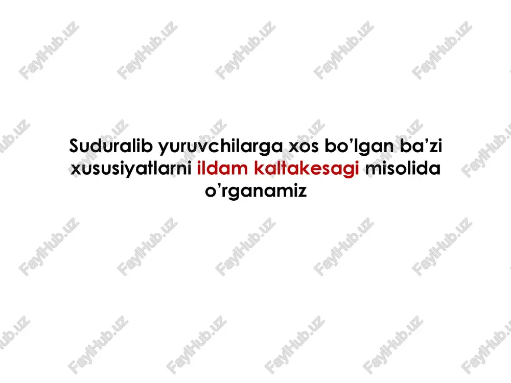 ili toshbaqa - uzog sharqda tarqalgan, kosasi bo’imaydi * o’rta osiyo toshbagasi — beda, bug’doylar bilan oziqlanadi. timsoxlar turkumi * orga oyoglari barmoglari orasiga parda tortilgan. * ko’zlari va burun teshiklari boshi ustidagi maxsus bo‘rtiqchalarda joylashgan. ¢ ularning o‘pka bo‘shlig‘i to‘siqlar bilan ko‘plab kameralarga bo‘lingan. ¢ yuragi to‘rt kamerali qoni yurakdan chiqqandan so’ng aralashib ketadi. * kubada timsohlar maxsus hovuzlarda ko‘paytiriladi. ¢ amerikada - alligatorlar ¢ hindistonda - gaviallar ¢ afrikada — nil timsoxi evolutsiyasi ajdodi suvda hamda quruqlikda yashovchilar. amfibiyalarning terisi galiniashib borgan o'pkasi kengaygan . teri nafas olishda ishtrok etmay qo’ygan tuxumlarining po'sti ham qaliniashgan _ suduralib yuruvchilar kelib chiqqan