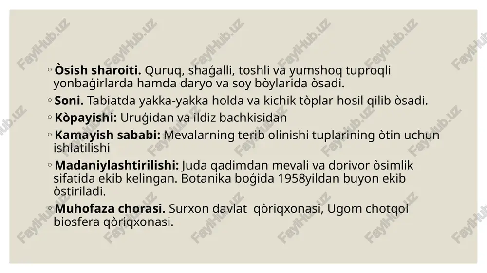 chilonjiydadoshlar oilasi - Page 4