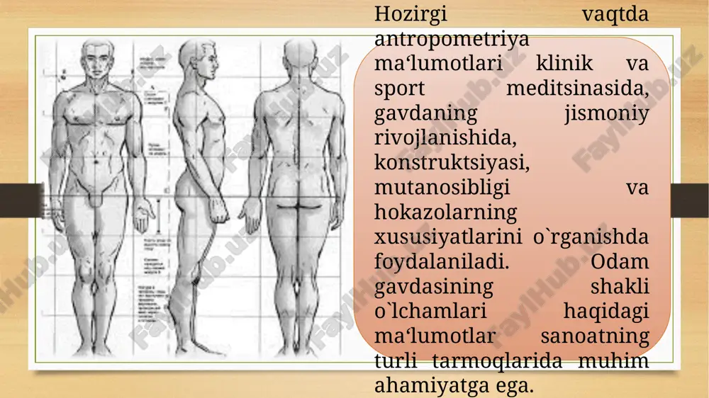 antropometrik tekshirish - Page 4