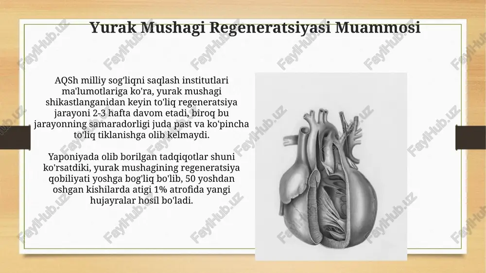 ning milliy sog'liqni saqlash institutlari (nih) tomonidan moliyalashtiriladigan 20 million dollarlik loyiha yurak mushagi hujayralarining o'z-o'zini ta'mirlash mexanizmlarini genetik tahrirlash orqali tadqiq qilishga qaratilgan. e'tiboringiz uchun rahmat @taqdimot_robot image7.jpg image8.jpg image9.jpg image10.jpg image11.jpg image12.jpg image13.jpg image14.jpg image15.jpg image16.jpg image17.jpg image18.jpg image3.png image4.png