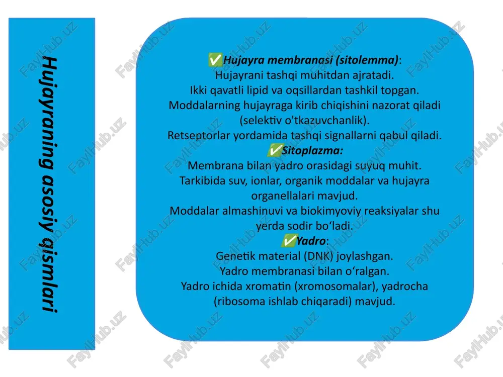 hujayraning tuzilishi va xromosomalari - Page 4