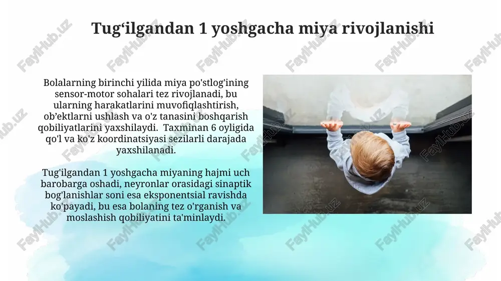 7yoshgacha bo‘lgan bolada bosh miyaning rivojlanishi - Page 4