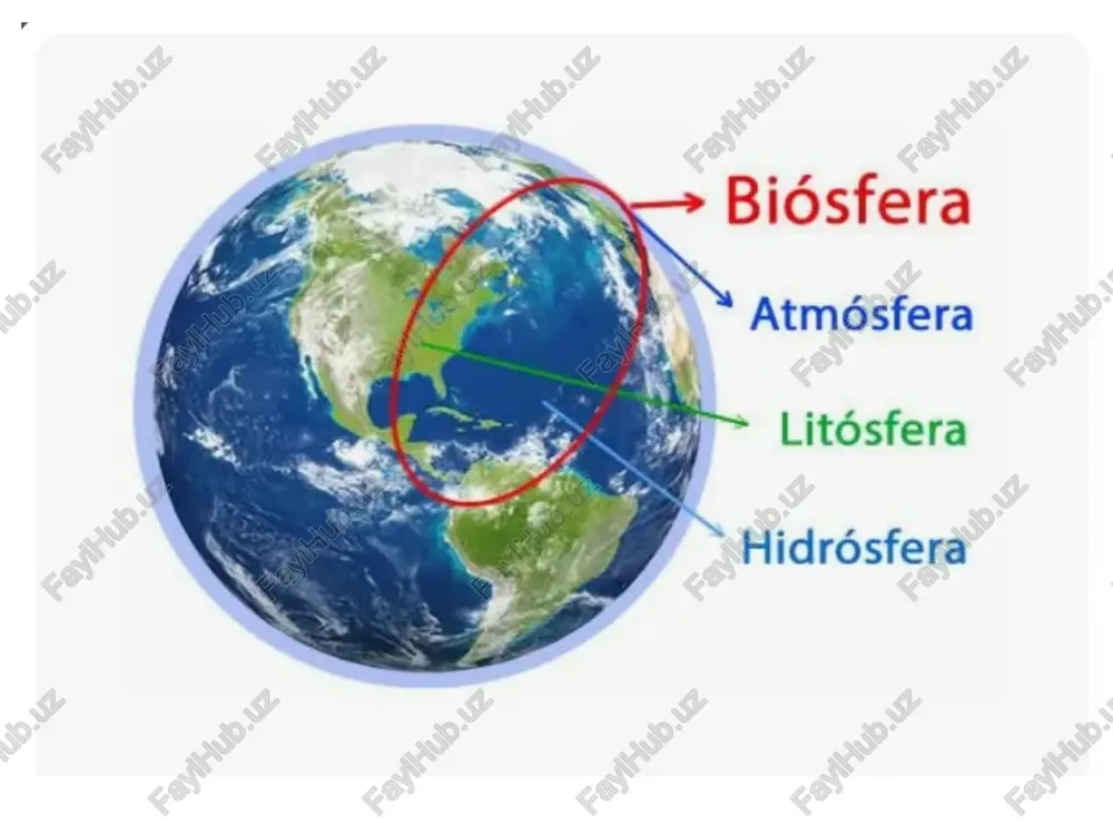 biosfera, chegaralari, biomassa biologik maxsuldorlik - Page 4