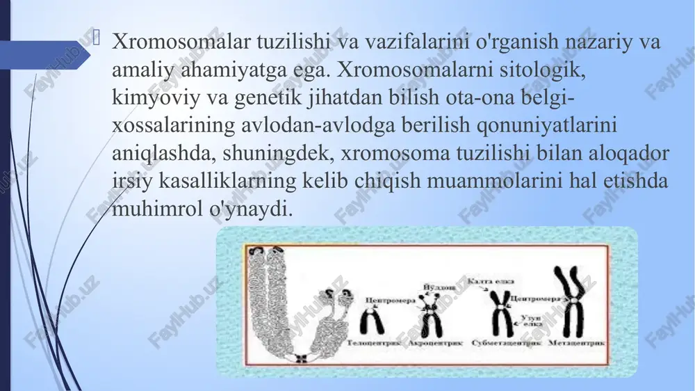 l miqdori; tahlil tezligi; usuli iloji takrorlanadi foydalanish; aniqligi; biokimyoviy usul kasallikning davomida foydalanish mumkin; dori o'rganish natijalarini ta'sir qilmaydi. genetika biokimyoviy usullari genetika yilda sitogenetik faoliyatlari uchun ishlatiladigan eng keng tarqalgan usul. bu siz batafsil xromosomalarini va karyotipe tuzilishini o'rganish imkonini beradi. bu usul bilan aniqlash va genlar va ularning tuzilmalari mutatsiyalar va polimorfizmin jalb monogenik irsiy kasalliklar mumkin. biokimyoviy genetika usuli hozir keng dnk mutant allel yangi shakllarini topish uchun ishlatiladi. bu usul orqali u aniqlandi va bu metabolik kasalliklar uchun 1000 dan ortiq tasvirlangan. tasvirlangan kasalliklar eng - fermentlar nuqsonlarning va boshqa strukturaviy proteinlar bilan bog'liq kasalliklar. 1. xromosomalar morfologiyasini o'rgangan olimlar qatorini toping: 1. m.s.navashin, p.i.jivago, d.uotson, n.p.dubinin. 2. f.krik, a.g.anders, g.kxrushev, t.morgan. 3. d.uotson, m.s.navashin, a.g.anders, g.k.xrushev. 4. m.s.novashin, p.ijivago, a.g.andres, g.k.xrushev. 5. f.krik, d.uotson, n.p.dubinin, p.i.jivago. a - 1; v - 3; s - 4; d - 5; e - 2. 2. odamlar hujayrasida …