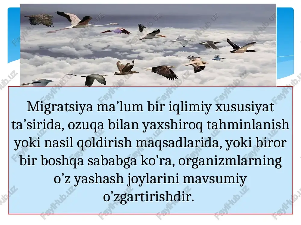 organizmlarning ekologik geografiyasi - Page 4