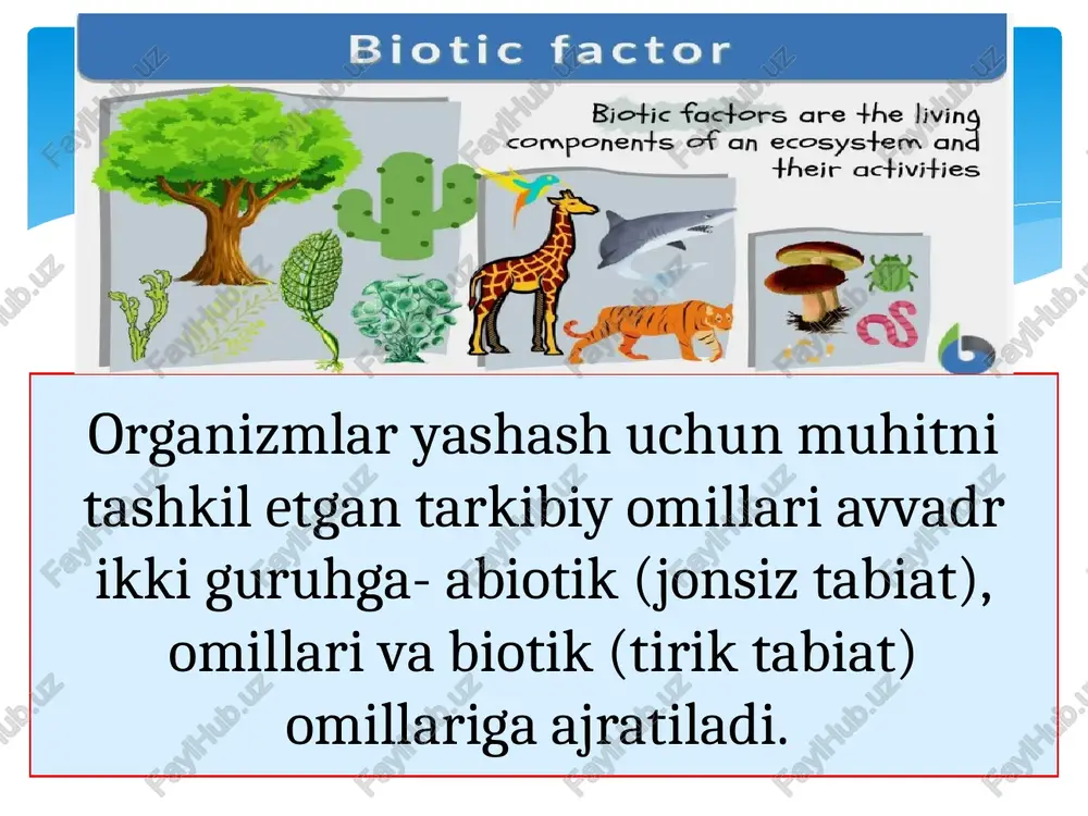 biotik va antropogen omillar - Page 4
