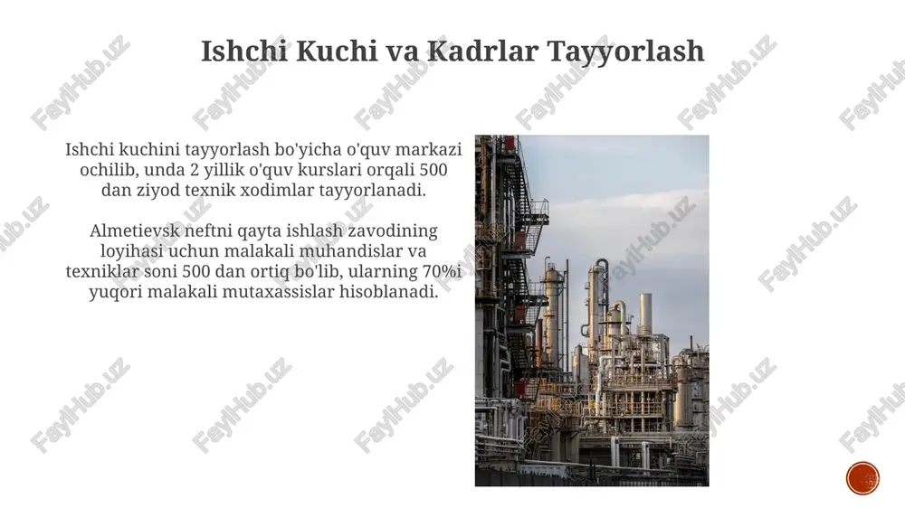 almetyevsk neftni qayta ishlash zavodi - Page 4