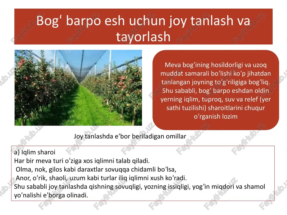 boshlarida, tuproq yumshoq, ammo namligini yo‘qotmagan paytda amalga oshiriladi. bahorda ekilgan ko‘chatlar tez ildiz otadi va o‘sishni boshlaydi. kuzgi ekish — noyabr oyining boshlarida, daraxtlar barg to‘kkanidan so‘ng, lekin sovuq tushishidan oldin bajariladi. bunda ko‘chatlar qish davomida tuproqqa moslashadi va bahorda erta o‘sib chiqadi. qishda yoki yozda ekish tavsiya etilmaydi, chunki sovuq yoki issiq harorat ko‘chatlarning ildiz tizimiga zarar yetkazadi. 2. ko‘chat ekish usullari ko‘chat ekish usullari daraxt turiga, tuproq sharoitiga va joy relefiga qarab tanlanadi. asosiy usullar quyidagilardan iborat: b) tizimli ekish usuli (sxematik ekish) bu usulda ko‘chatlar oldindan belgilangan sxema (masalan, 5×4 m yoki 4×3 m) asosida qatorlarga joylashtiriladi. qatorlar orasida texnik xizmat yo‘laklari qoldiriladi. c) qatorlarga ekish usuli (terrasa yoki nishab joylar uchun) tog‘li yoki nishab joylarda suv oqimini to‘xtatish va tuproq eroziyasini kamaytirish maqsadida terrasalar (pog‘onali maydonchalar) hosil qilinadi. ko‘chatlar shu terrasalar bo‘ylab ekiladi. d) tomchilatib sug‘orish tizimi bilan ekish so‘nggi yillarda samarali usul sifatida tomchilatib …