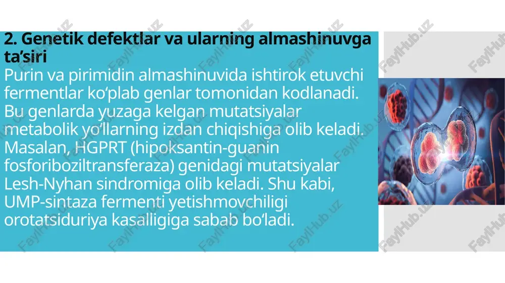 purinvapirimidinalmashinuvi-molekulyarbiologiyaasosida - Page 4