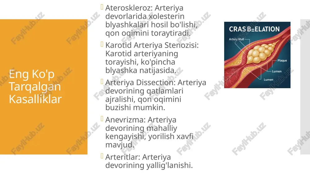 ekstrakranial arteriyalardagi zamonaviy operatsiyalar - Page 4