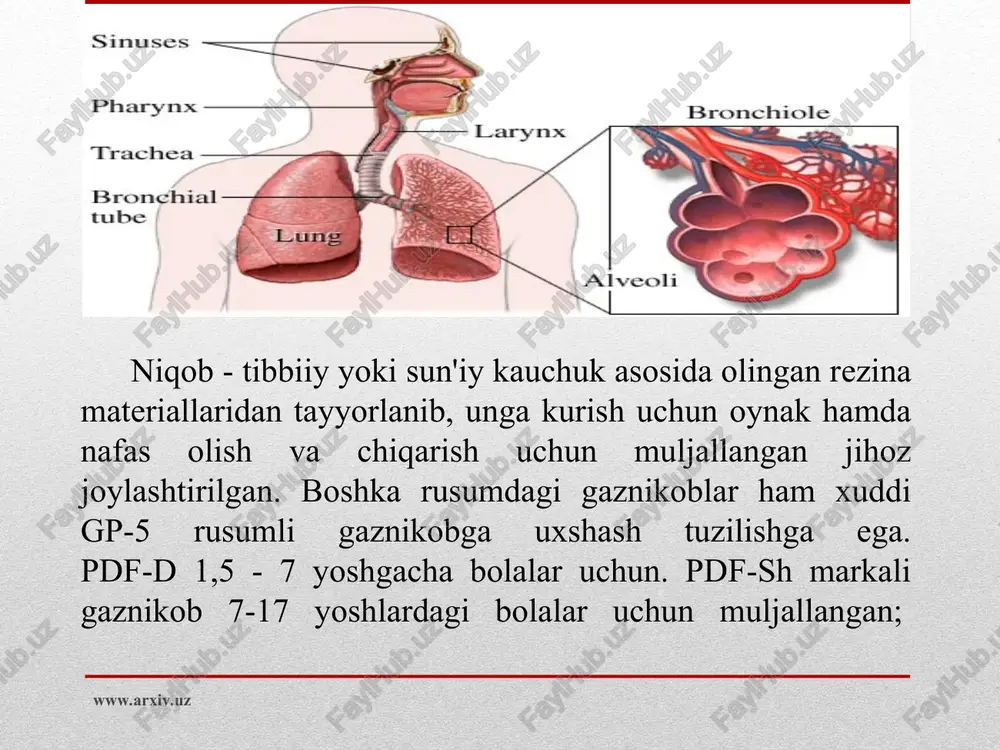 lomaydi. bunday vositalar zich tukilagan matolardan xar bir fuqaro uzi tayyorlashi mumkin va uning rusumi mm-1 deb ataladi. yana nafas organlarini saklovchi oddiy vositalar katoriga paxta dokali takkichlar ham kiradi. terini saqlovchi vositalar. terini saqlovchi vositalar ham saklash darajasiga kura: filtrlovchi va izolyatsiyalovchi xillarga bulnadi. izolyatsiyalovchi terini saqlovchi vositalar havo utkazmaydigan rezinali elastik materiallardan (masalan, pvx) tayyorlanadi. ular germetik va nogermetik xolda bo`ladi. germetik vositalar butun teri a'zolarini berkitib, zaxarli moddalarning bugi va tomchilaridan butunlay saklaydi.germetik bulmagan vositalar esa fakat zaxarli moddalarning tomchilaridan saklaydi. izolyatsiyalovchi terini saqlovchi vositalarga: kombenzon va kostyum, engil ximoya kostyumi l-1 va umumkushin ximoya jamlamasi kiradi. ximoya kombenzoni, bitta qilib tikilgan kurtka, shim va bosh kiyimdan tashkil topgan. kombenzon va kostyum tarkibiga shlemosti (podshlemnik) rezinali oyok kiyimi va rezinali kulkop kiradi.. www.arxiv.uz www.arxiv.uz www.arxiv.uz www.arxiv.uz l-1ning ham ulchamlari xuddi ximoya kombenzoniga uxshash bo`ladi l-1 kiyimlari asosan fuqarolar muxofazasining razvedka qismlarida kiyiladi. umumiy ximoya jamlamasi (ozk) vositasi …